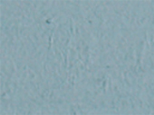 Pigment 236 Dove